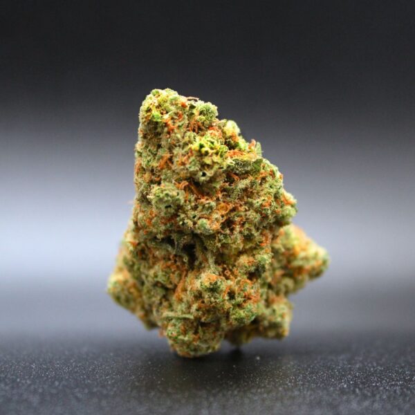 Pop Corn Indoor (10GR / 15GR / 25GR)