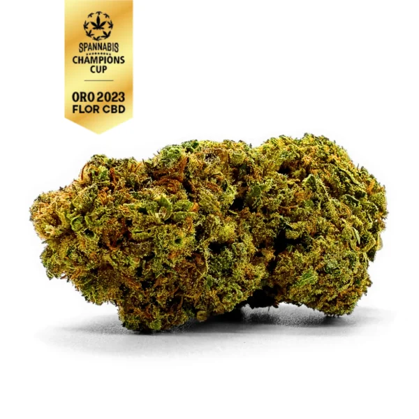 Flores CBD - La Catalana