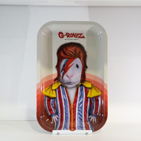 Bandeja Grollz Raton Peinado Elvis