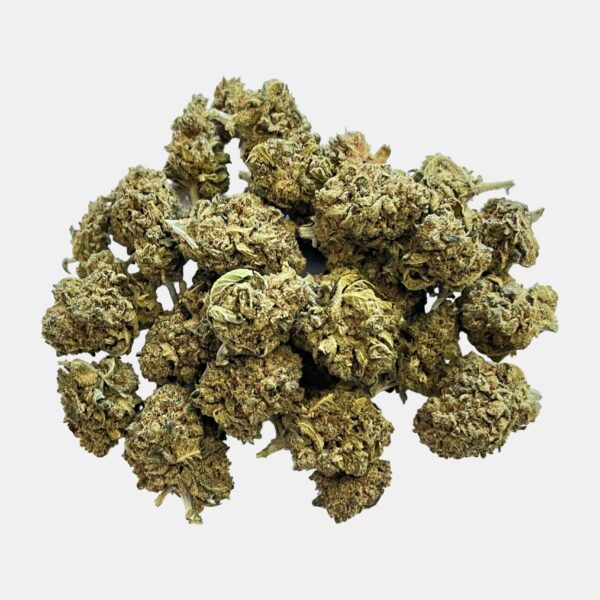 Flor Amnesia Mcm (2GR)