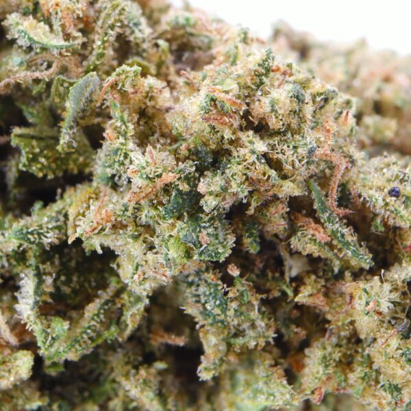 Mini Buds CBD - Alchemy