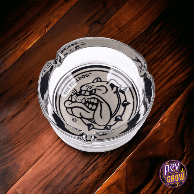 Cenicero Cristal Bulldog Blanco - Imagen 2