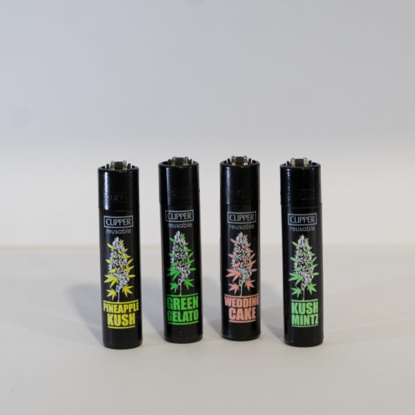 COLECCION CLIPPER PLANTZ (4UDS)