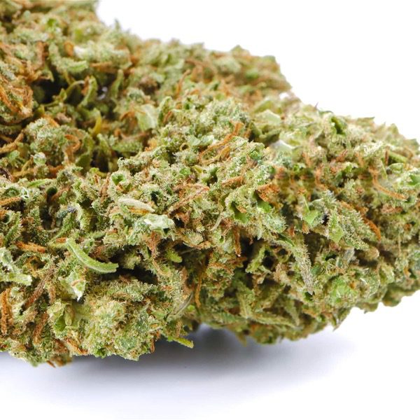ALCHEMY BERRY