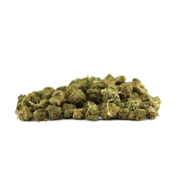 MINIBUDS GREENBROTHERS D10