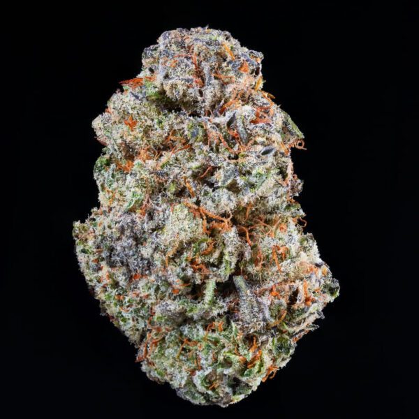 PURPLE GELATTO