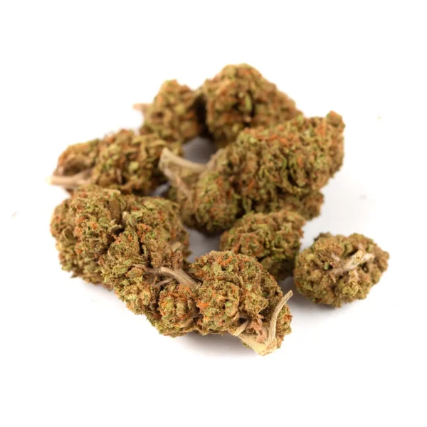 Cheese Indoor CBD