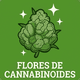 Flores De Cannabinoides