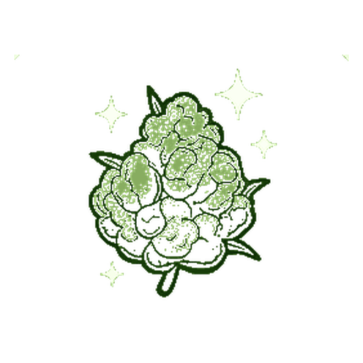 Flores De Cannabinoides