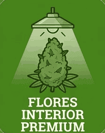 Flores Interior Premium