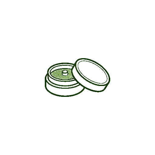 Parafernalia