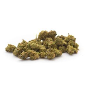 Wedding Cake Indoor CBD