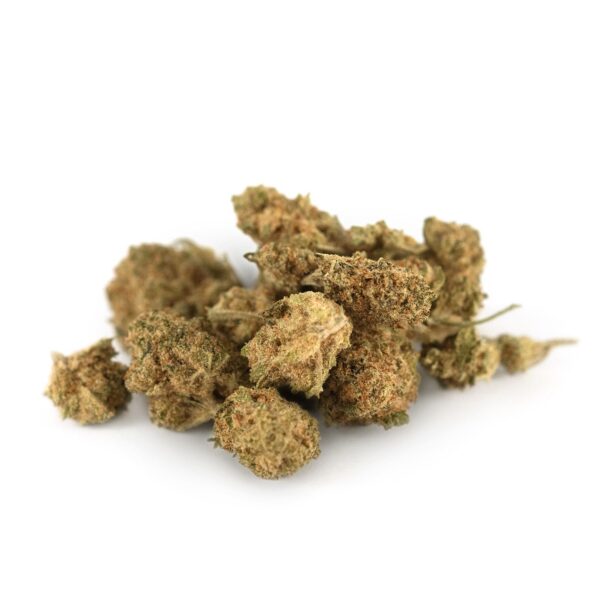 Biscotti Indoor CBD