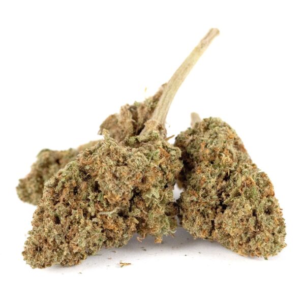 Biscoti Outdoor CBD