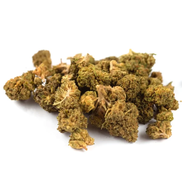 Cheese Outdoor CBD