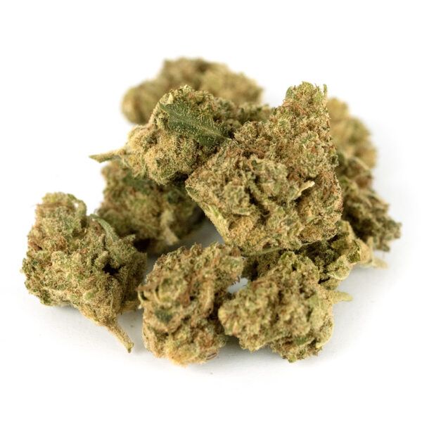 Gelato41 Indoor CBD