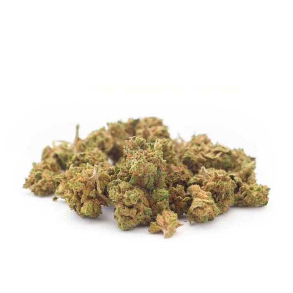 Gelato41 Outdoor CBD