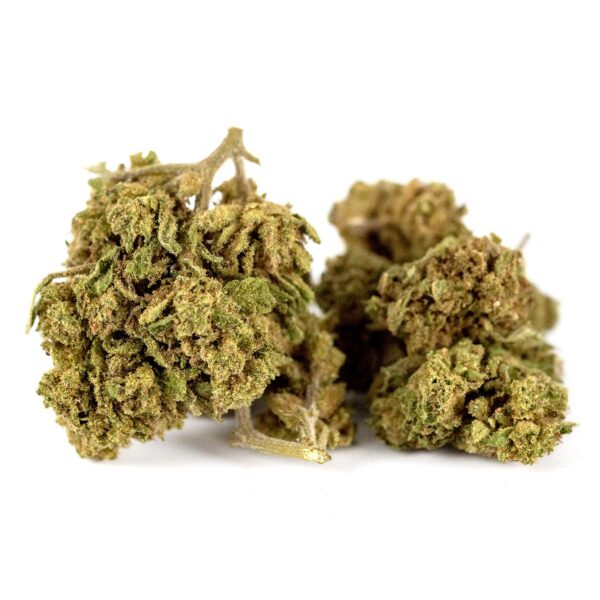 V1 Outdoor CBD